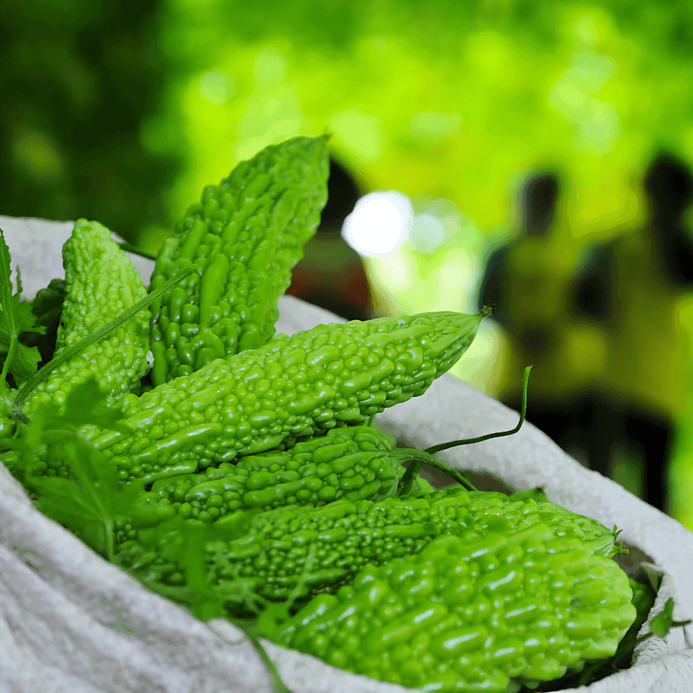 Khổ qua có tốt cho bệnh tiểu đường?