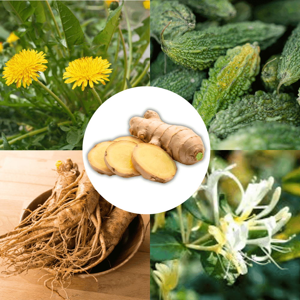 5 thảo dược giảm cân cần tránh khi mắc tiểu đường