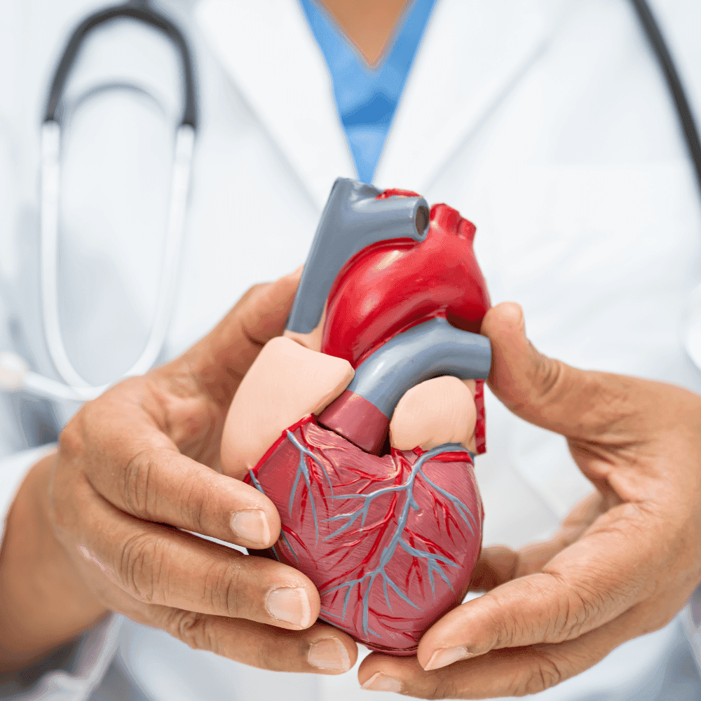 Nhận diện biến chứng tim mạch ở người mắc đái tháo đường